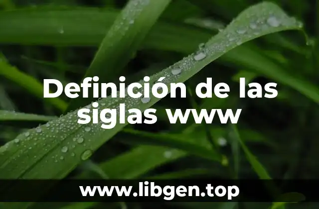 Definición de las siglas www