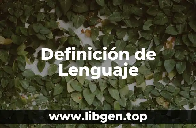 Definición de Lenguaje