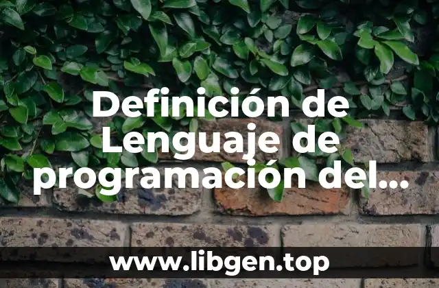 Definición de Lenguaje de programación del lado del servidor