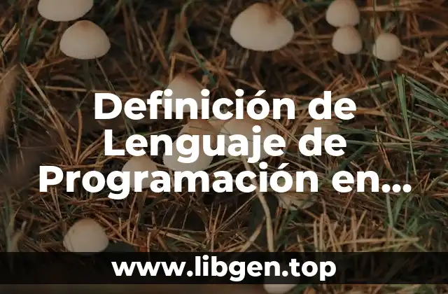 Definición de Lenguaje de Programación en Programación