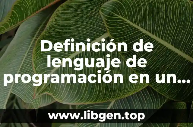 Definición de lenguaje de programación en un robot