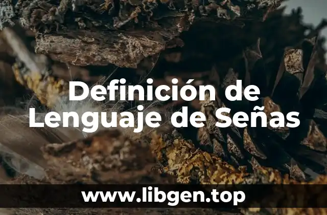 Definición de Lenguaje de Señas