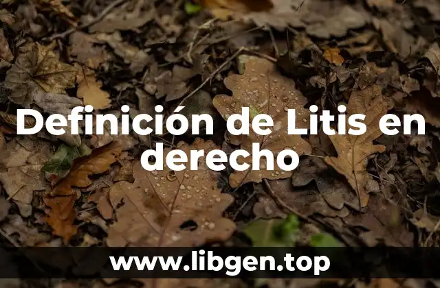 Definición técnica de litis en derecho