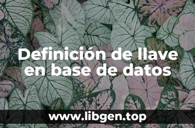 Definición de llave en base de datos
