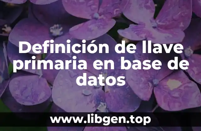 Definición de llave primaria en base de datos