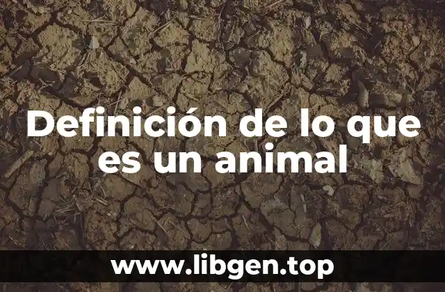 Definición de lo que es un animal