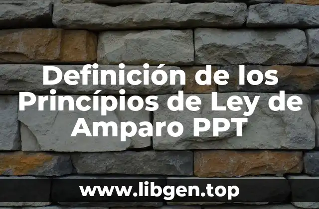 Definición de los Princípios de Ley de Amparo PPT