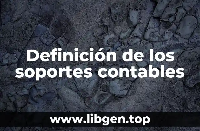 Definición de los soportes contables