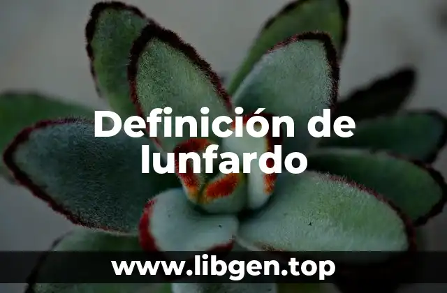 Definición de lunfardo