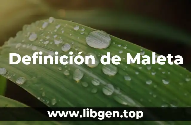 Definición de Maleta