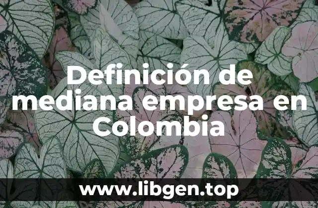 Definición de mediana empresa en Colombia