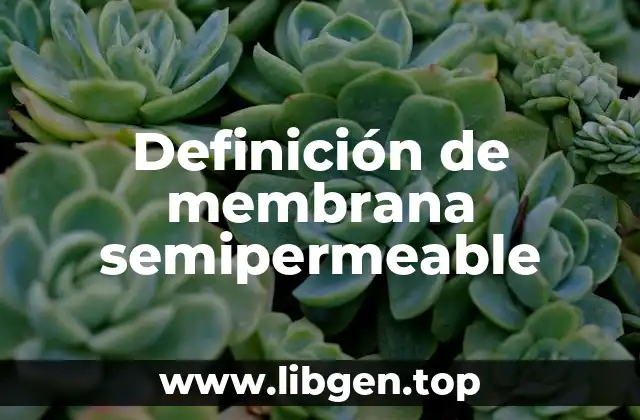 Definición de membrana semipermeable