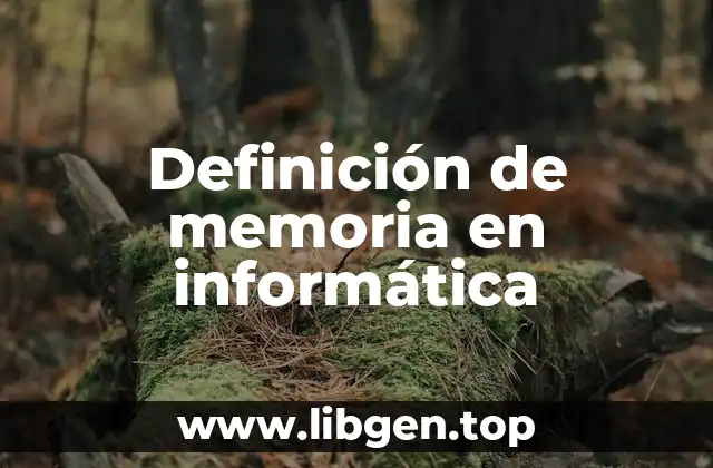 Definición técnica de memoria en informática