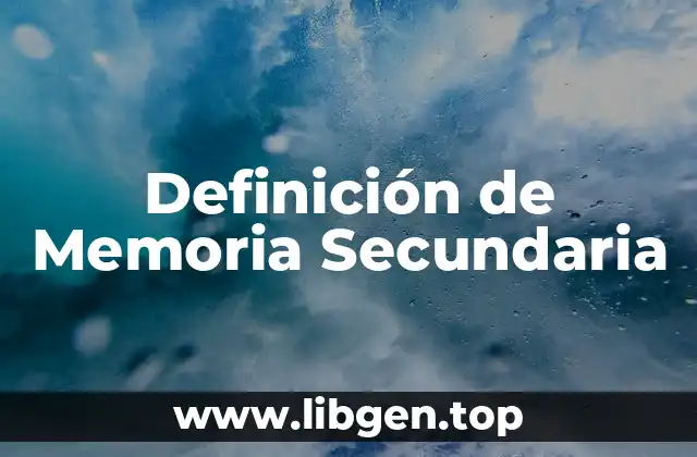 Definición técnica de Memoria Secundaria