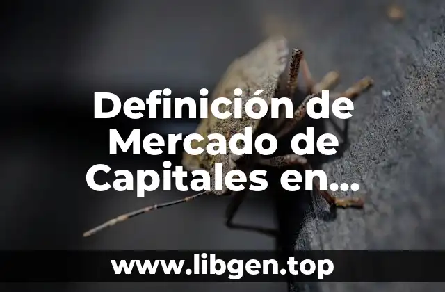 Definición de Mercado de Capitales en Finanzas