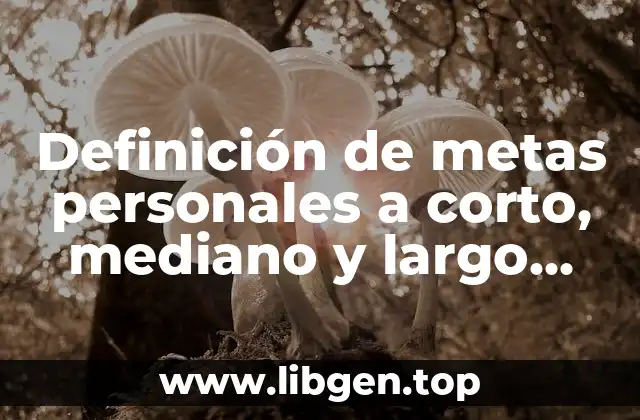 Definición de metas personales a corto, mediano y largo plazo