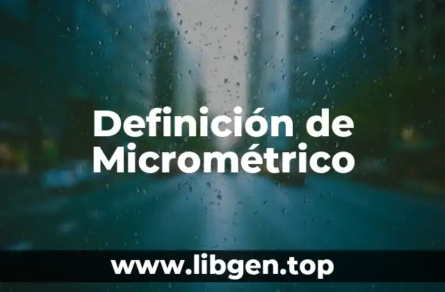 Definición de Micrométrico