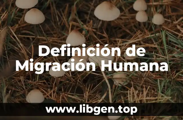Definición Técnica de Migración Humana