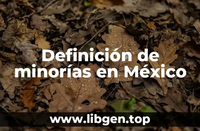Definición de minorías en México