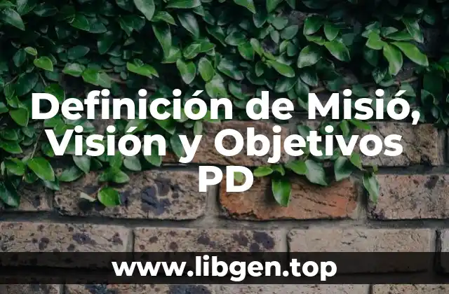 Definición de Misió, Visión y Objetivos PD