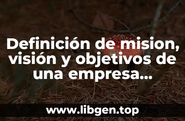 Definición de mision, visión y objetivos de una empresa industrial