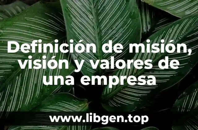 Ejemplos de misión, visión y valores de una empresa
