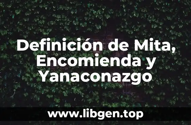 Definición técnica de Mita