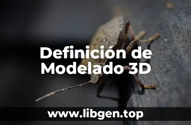 Definición de Modelado 3D