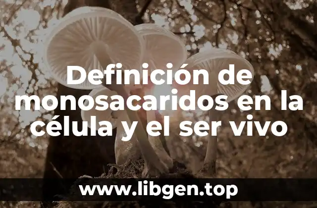 Definición de monosacaridos en la célula y el ser vivo