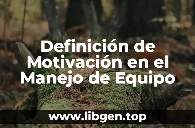 Definición de Motivación en el Manejo de Equipo