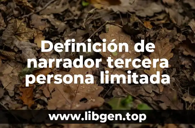 Definición de narrador tercera persona limitada