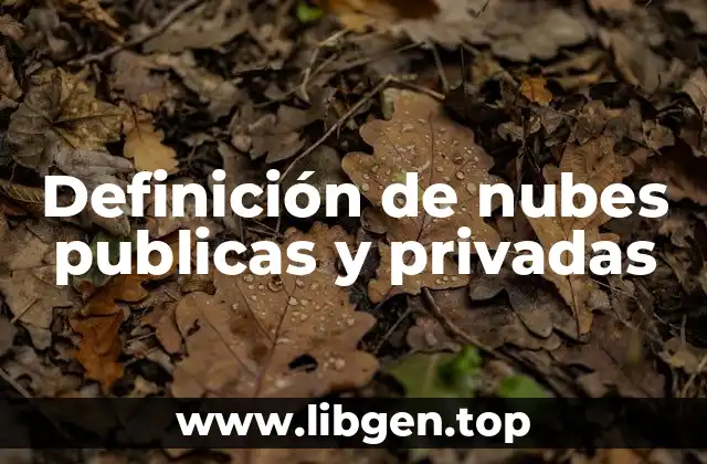 Definición de nubes publicas y privadas