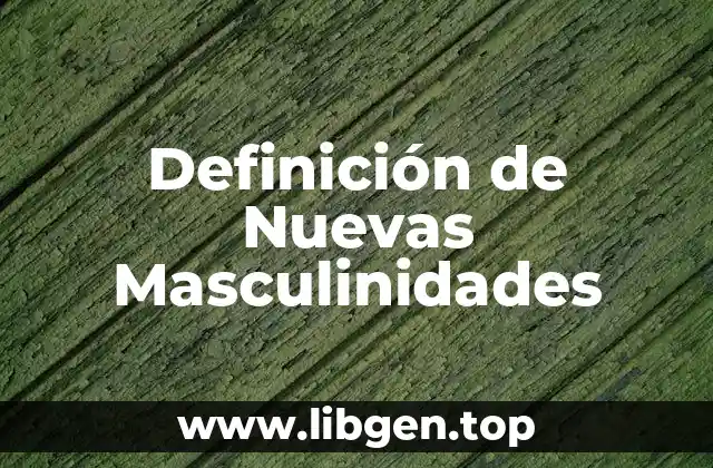 Definición de Nuevas Masculinidades