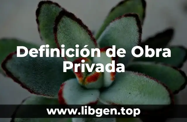 Definición de Obra Privada