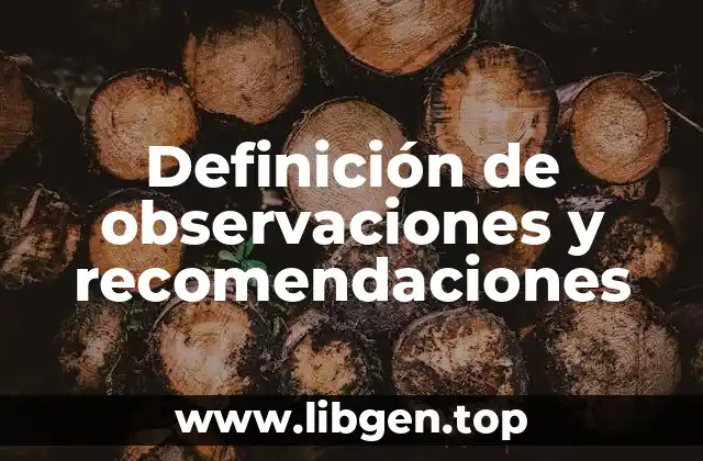 Definición de observaciones y recomendaciones