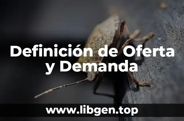 Definición Técnica de Oferta y Demanda