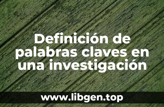 Definición técnica de palabras claves en una investigación