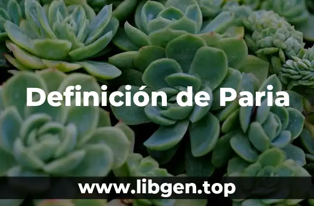 Definición de Paria