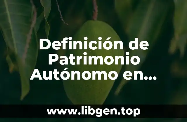 Definición de Patrimonio Autónomo en Colombia