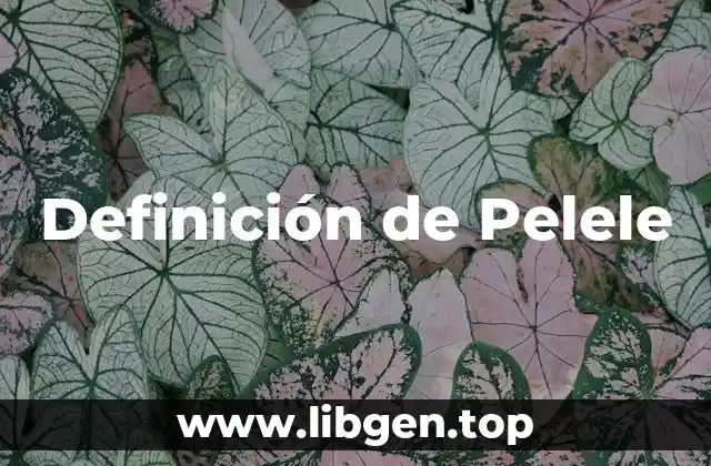 Definición de Pelele