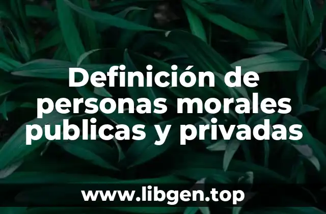 Definición de personas morales publicas y privadas