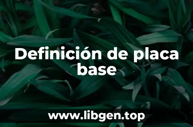 Definición de placa base