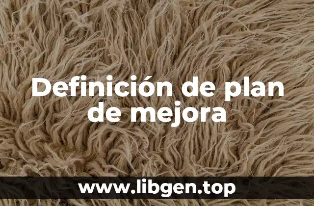 Definición de plan de mejora