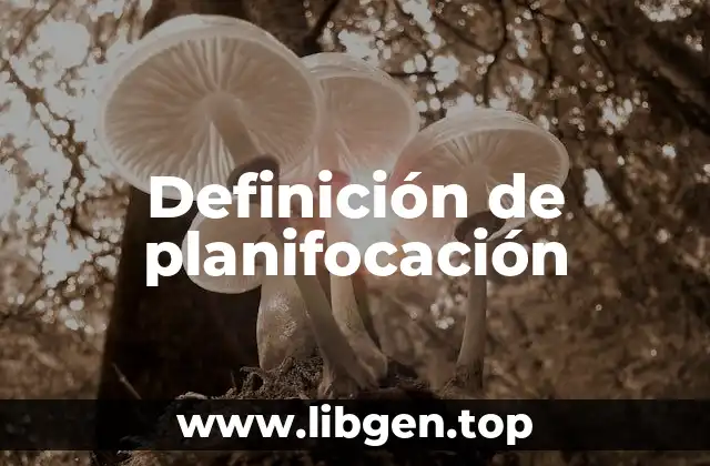 Definición de planifocación