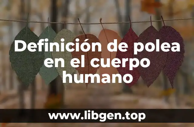 Definición de polea en el cuerpo humano
