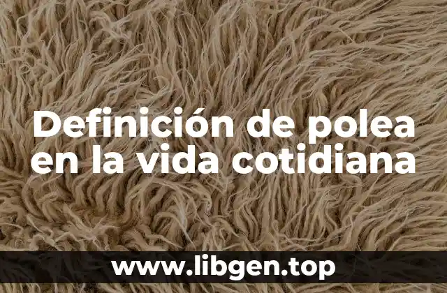 Definición de polea en la vida cotidiana