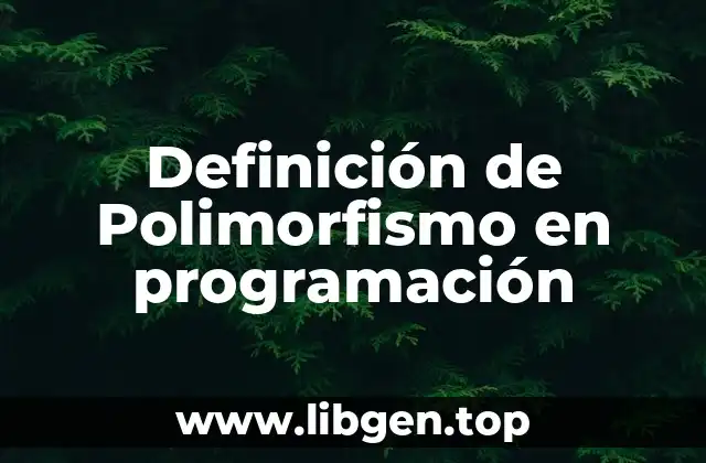 Definición de Polimorfismo en programación