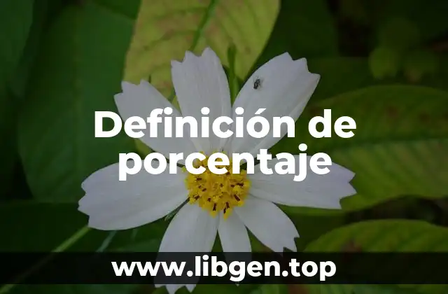 Definición técnica de porcentaje