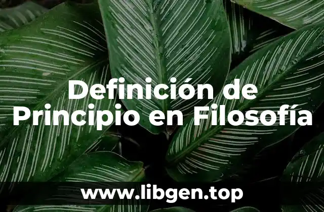 Definición de Principio en Filosofía