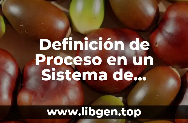 Definición de Proceso en un Sistema de Información